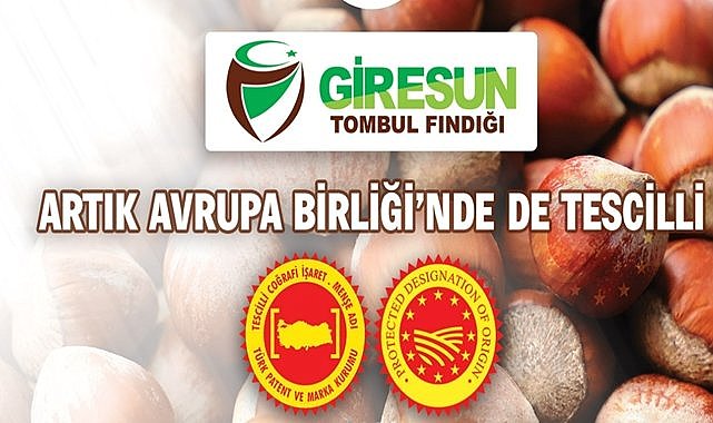 Giresun Tombul Fındığı Avrupa Birliği Tescilli