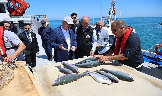 İlk hasat yapıldı, Giresun&#039;da yılda 12 bin ton üretiliyor, Japonya ve Rusya&#039;ya ihraç ediliyor