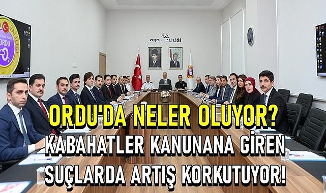 Ordu&#039;da neler oluyor? Kabahatler kanununa giren suçlar arttı!