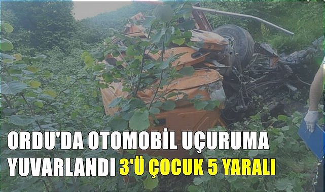 Ordu&#039;da otomobil fındık bahçesine yuvarlandı