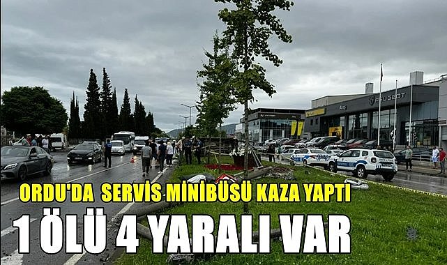 Ordu&#039;da servis minibüsü orta refüje çıktı