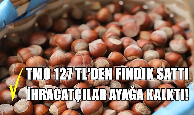 TMO 127 TL&#039;den fındık sattı, ihracatçılar ayağa kalktı!