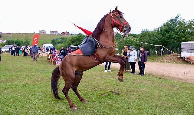 Çambaşı&#039;nda renkli festival! 10 bin kişi horon oynadı