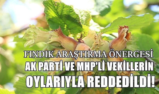 Fındığa 200 TL verin horon çekelim!