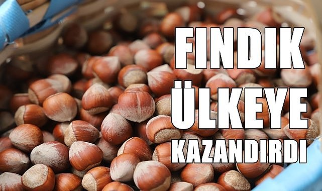 Fındık 10 ayda 2 milyar dolar  kazandırdı