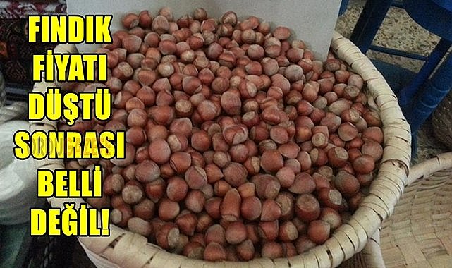 Fındık fiyatı 09.07.2024
