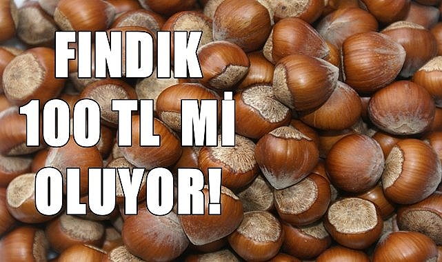 Fındık fiyatı 100 TL&#039;ye mi düşecek?