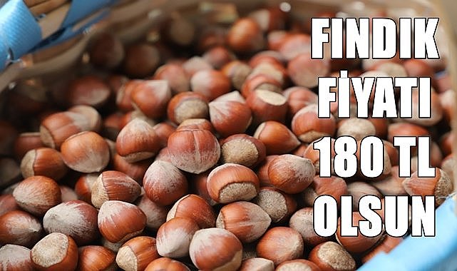 Fındık fiyatı 180 TL açıklansın! Fındık piyasası karışık