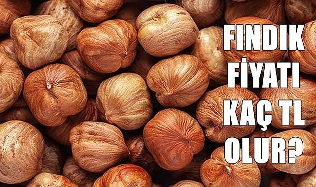 Fındık fiyatı 25.07.2024