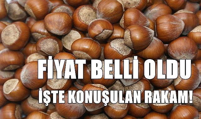 Fındık fiyatı belli oldu iddiası! İşte konuşulan rakam