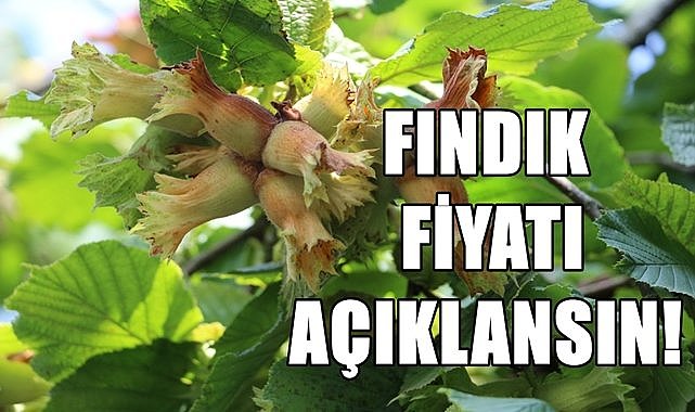 Fındık fiyatı için 20 Temmuz&#039;u işaret etti!