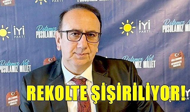 Fındık rekoltesi şişiriliyor!
