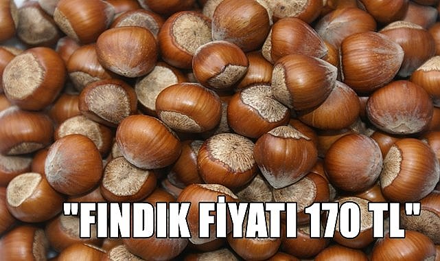 Giresun&#039;da fındık fiyatı 170 TL açıklandı