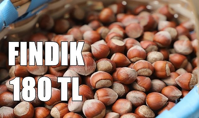 Giresun&#039;da fındık fiyatı açıklandı; 180 TL
