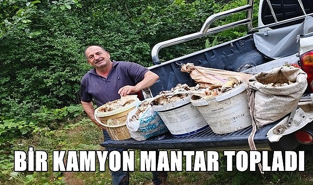 Köylüler ormandan bir kamyon mantar topladı