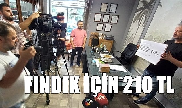 Maliyet ve fiyat hesaplandı; Fındık 210 TL&#039;den satılmalı!