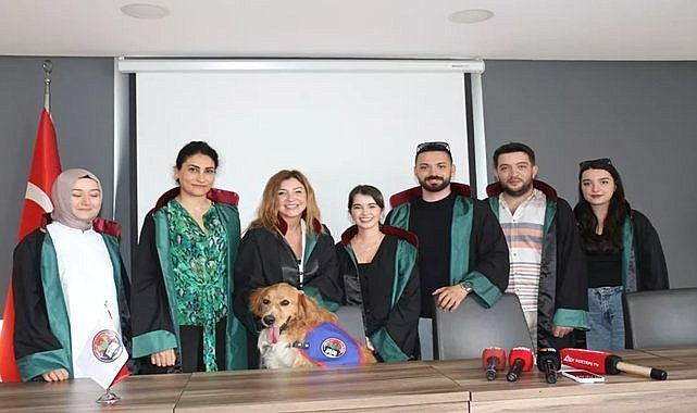 Ordu Barosu; Bedelini hayvanlar ödeyemez!