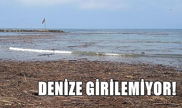 Ordu&#039;da denize giden geri dönüyor! Sel sonrası denizde bu görüntüler oluştu..