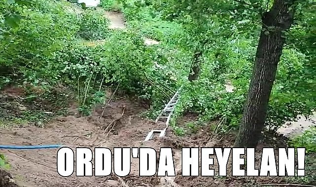 Ordu&#039;da sağanak yağışlar etkili oldu, su baskını, heyelan meydana geldi