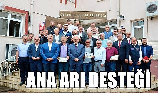 Ordulu Arıcılara Ana Arı Desteği