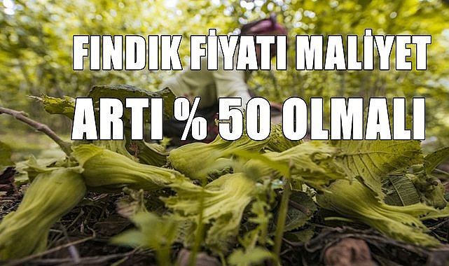 Ziraat Odasının fındık fiyatı; maliyet artı yüzde 50