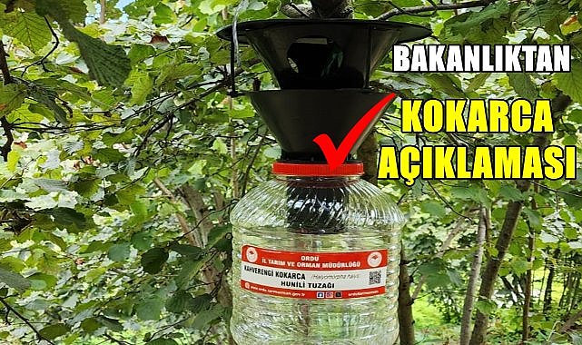 Bakanlıktan Kokarca Açıklaması; Fındık Tüccarları Takip Altında