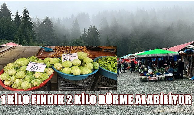 Çambaşı Yaylası&#039;nda Yetişen Dürme Pancarı Pazara İnmeye Başladı