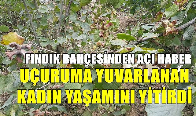 Fındık bahçesinden acı haber geldi!