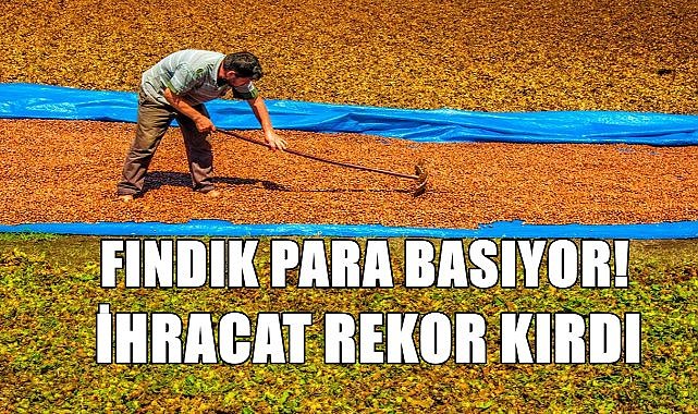 Fındık dolar basıyor! İhracat  rekor kırdı