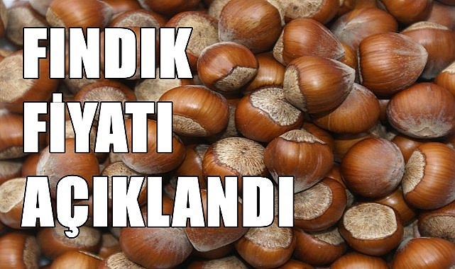 Fındık fiyatı 130 TL olarak açıklandı