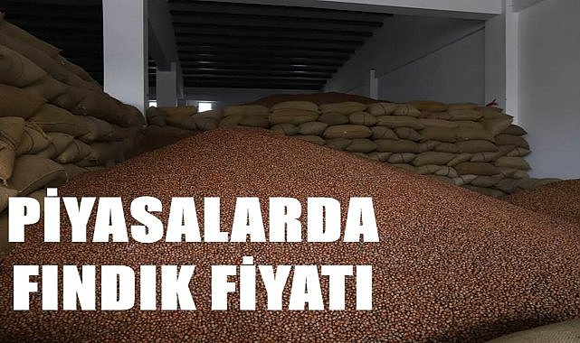 Fındık fiyatı 17.08.2024