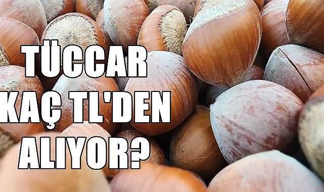 Fındık fiyatı 18.08.2024