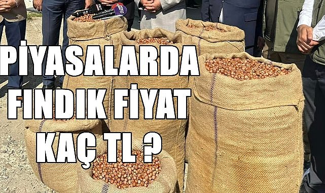 Fındık fiyatı 20.08.2024