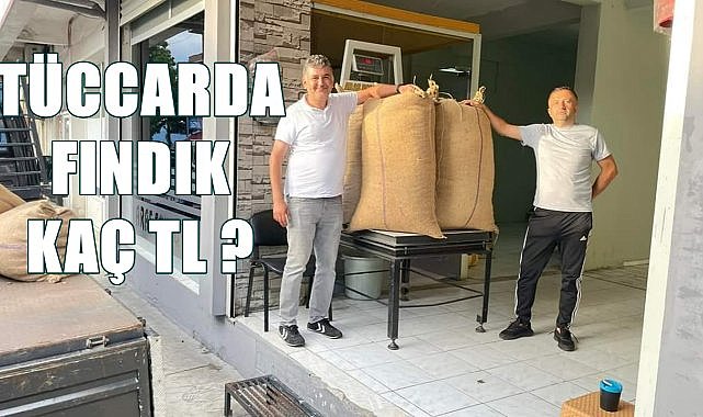 Fındık fiyatı için o tarih bekleniliyor! Ordu&#039;da fındık kaç TL?