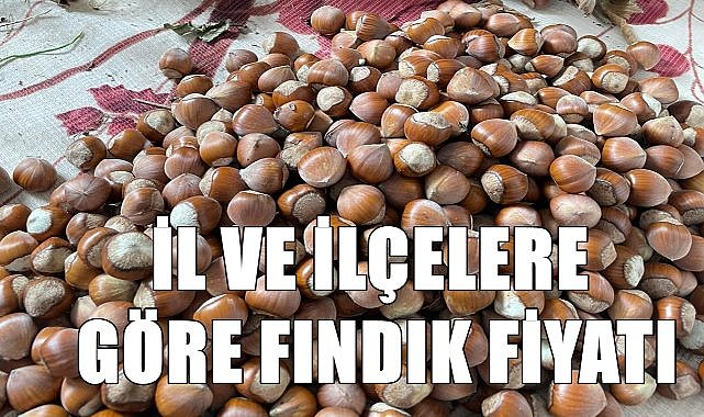 Fındık fiyatı il ve ilçelere göre kaç TL