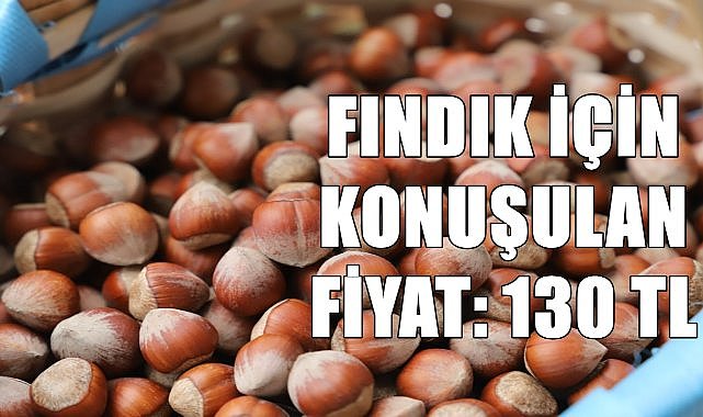 Fındık için konuşulan fiyat 130 TL