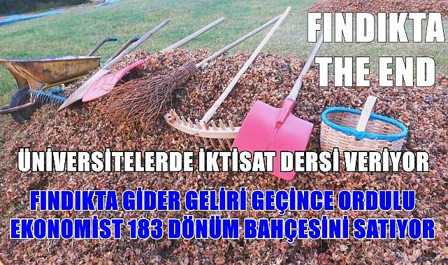Fındıkta gider geliri geçti, ünlü ekonomist  Ordu&#039;daki 183 dönüm fındık bahçesini satma kararı aldı!