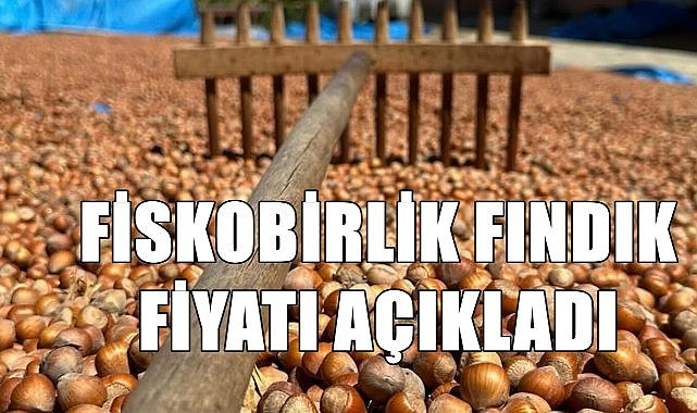 Fiskobirlik fındık alım fiyatı açıkladı!