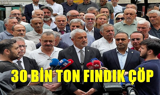 Kahverengi Kokarca 30 Bin Ton Fındığı Çöp Etti