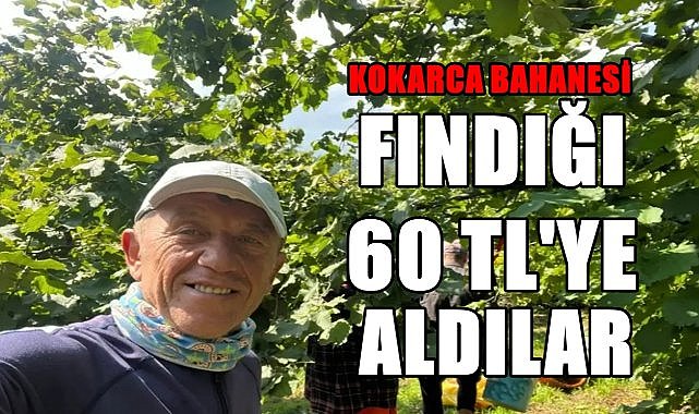 Kokarcayı bahane edip fındığın kilosunu 60 TL&#039;den aldılar