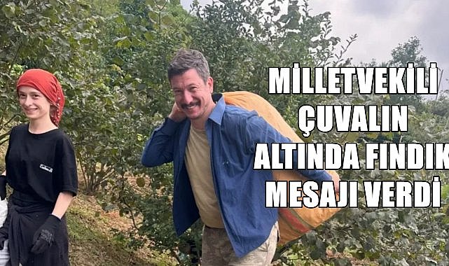 Milletvekili sırtına fındık çuvalı alıp, fındık için 170 TL mesajı verdi