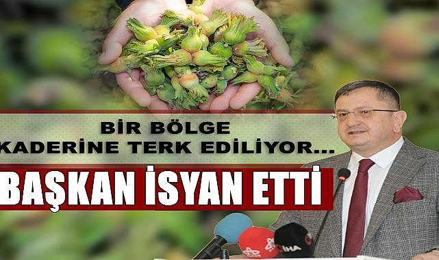 Ordu&#039;da bir ilçe kokarcaya teslim oldu! Fatsa Afet Bölgesi ilan edilsin