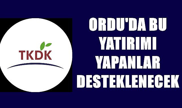 Ordu&#039;da bu sektörde yatırım yapanlara destek verilecek