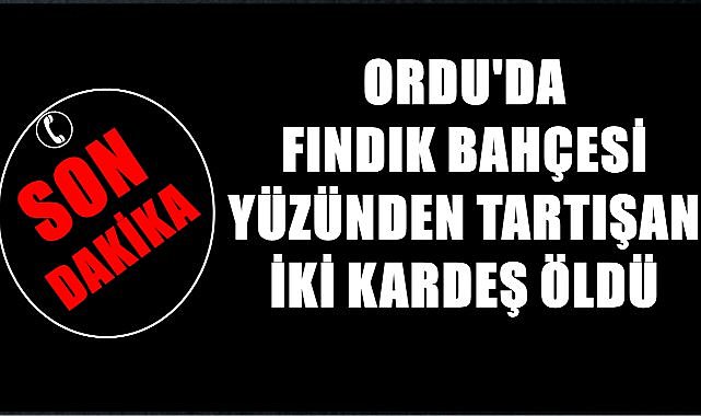 Ordu&#039;da fındık bahçesi yüzünden iki kardeş yaşamını kaybetti