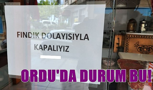 Ordu&#039;da işyerleri fındık nedeniyle kapandı!