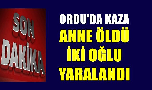 Ordu&#039;da kazada anne hayatını kaybetti iki oğlu ağır yaralandı