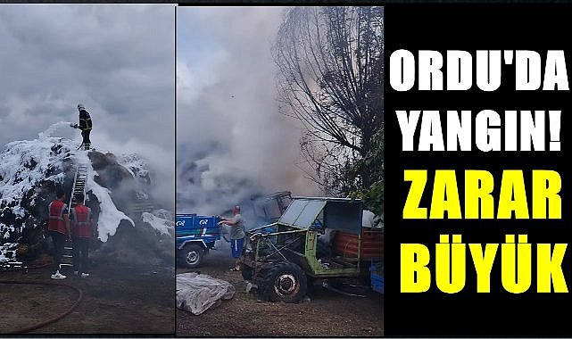 Ordu&#039;da mandıra yangını; Büyük maddi kayıp