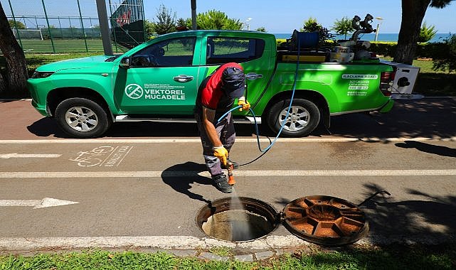 Ordu&#039;da mazgal ve su birikintisi ilaçlanıyor