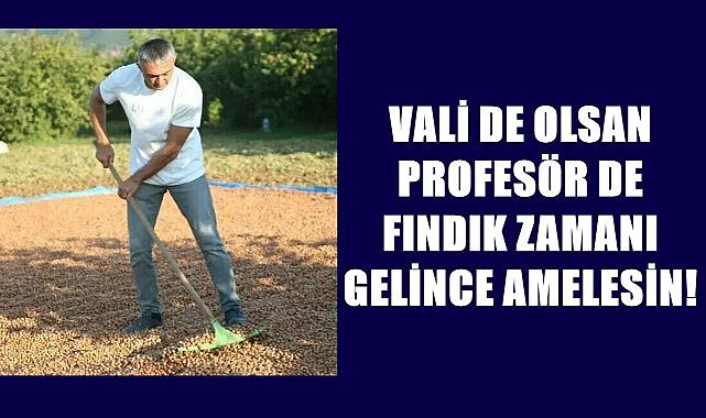 Ordulu Profesör örnek fındık üreticisi gösterildi!