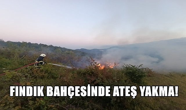 Ordululara uyarı; Fındık bahçesinde ateş yakma!